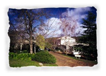 Birches of Daylesford - Pet Friendly Accommodation Daylesford