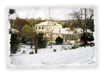 Birches of Daylesford - Pet Friendly Accommodation Daylesford